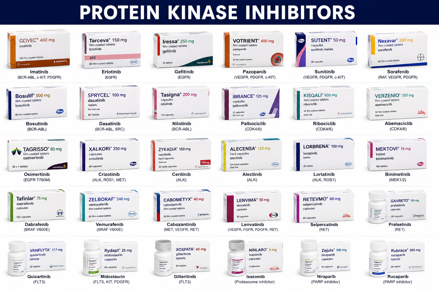 Protein Kinase Inhibitor